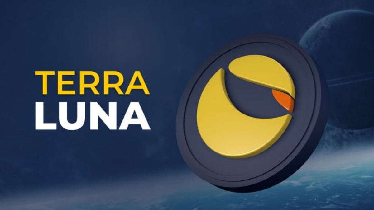 Terra Luna Neden Düşüyor?